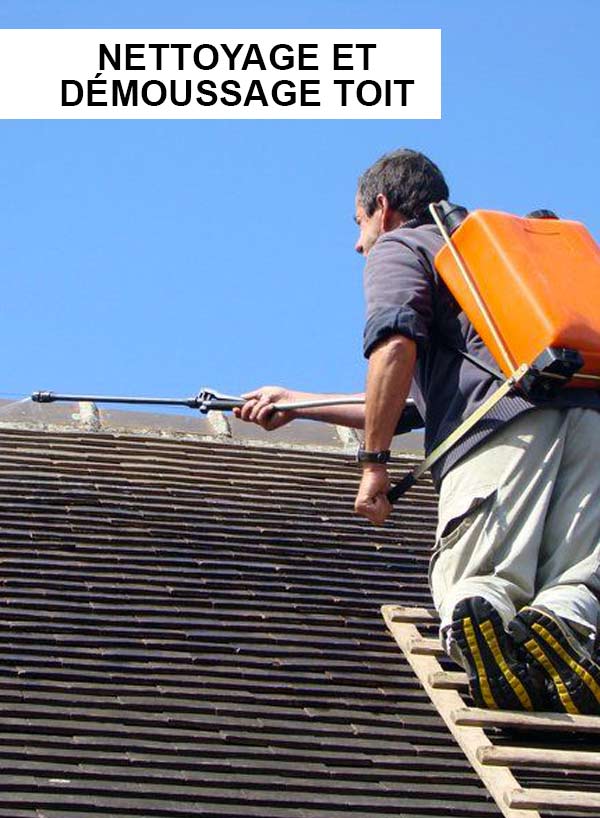 Nettoyage et démoussage toit : Couvreur Salland Dominic : Artisan couvreur sur LE MANS (72) et LA SARTHE